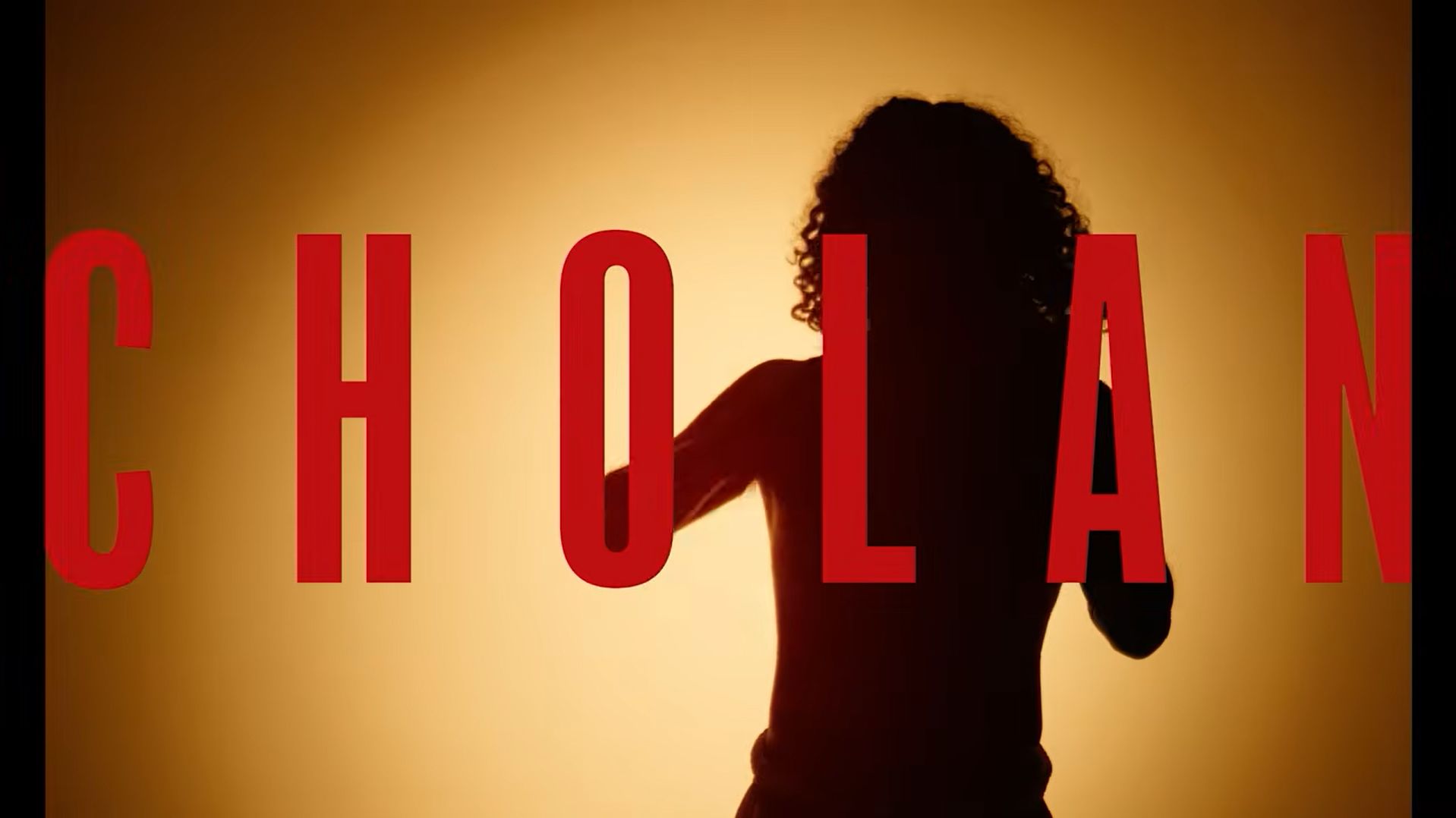 Cholans Combat Dynasty